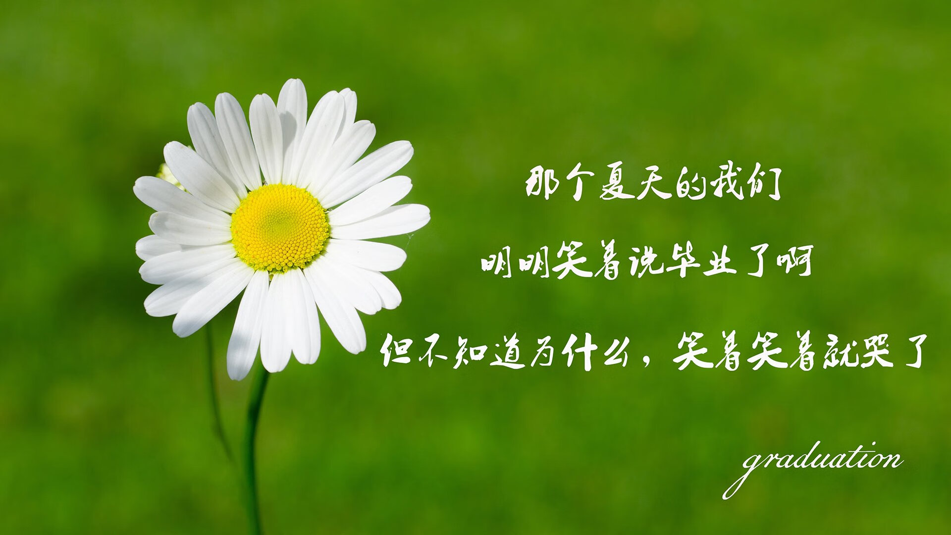 杜兰特和布克组合的上限有多高，bklyn杜兰特