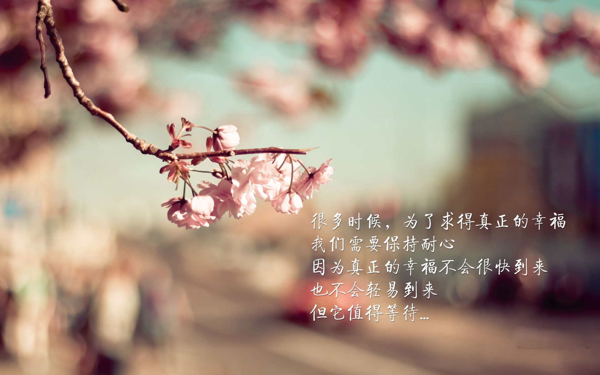 热刺主帅赛前发声，力保胜利，誓要振奋球队士气，热刺最新主帅