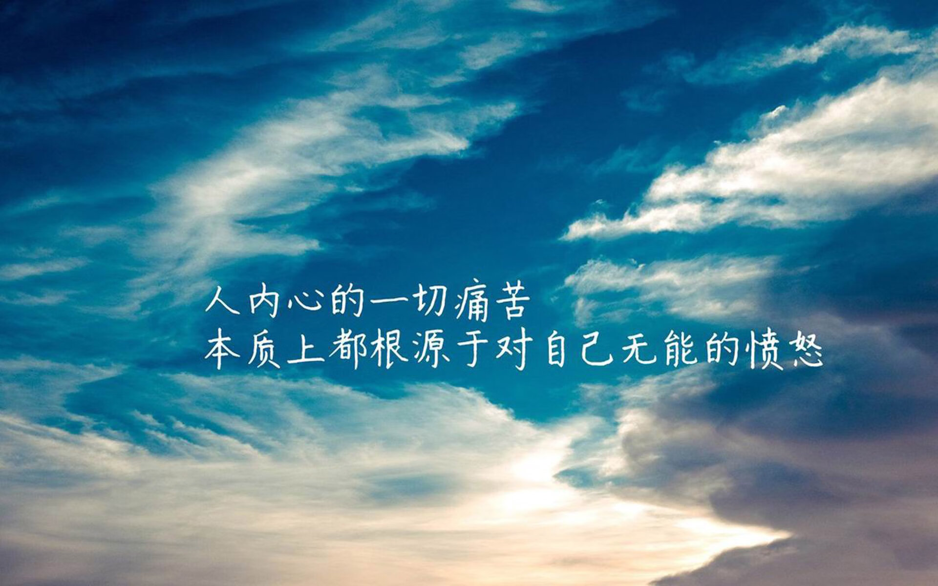 黄蜂队赛季目标逐步实现，黄蜂队新赛季阵容