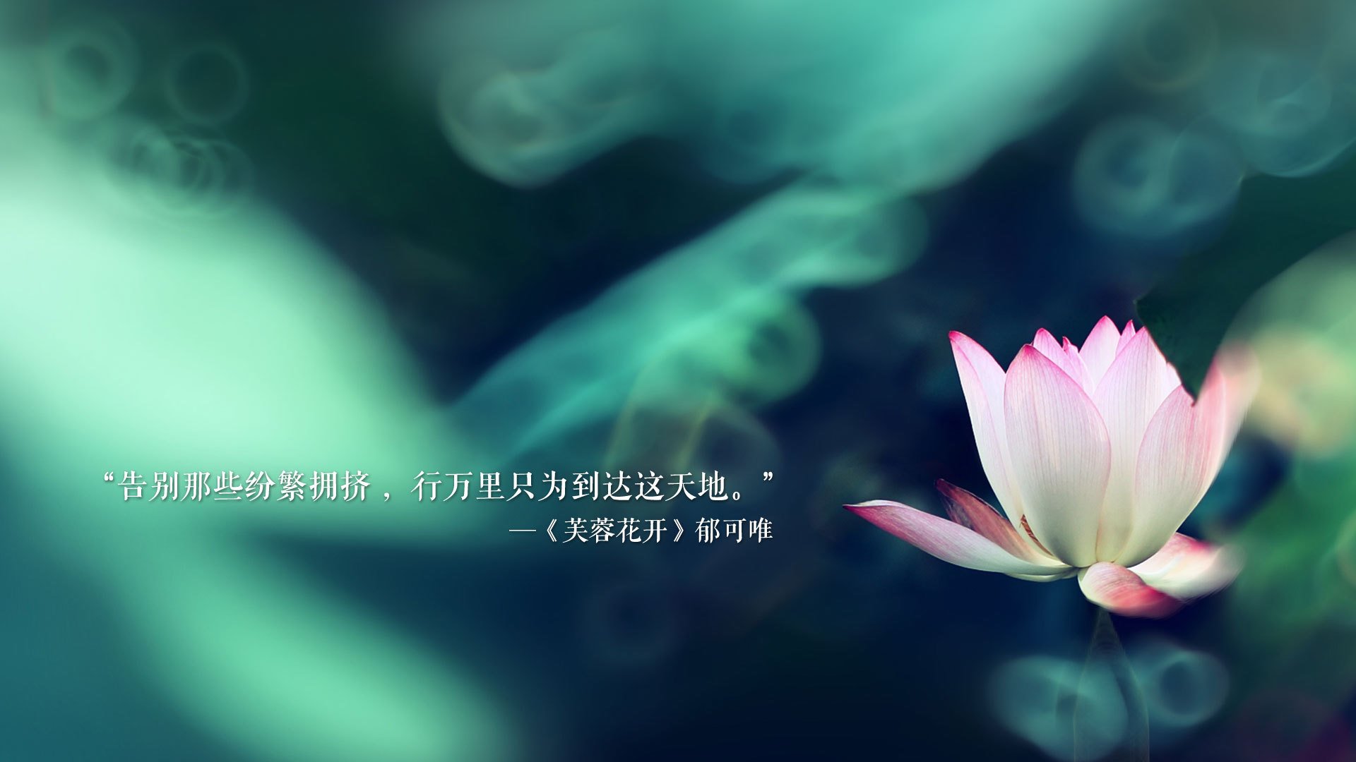 世界赛场：非洲代表的“黑马”奇迹