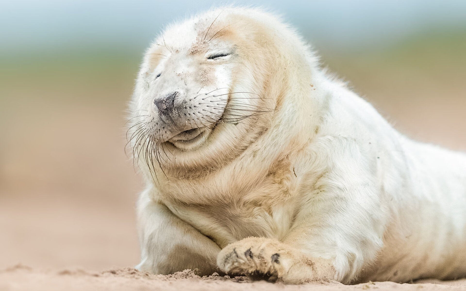 攀岩比赛首次设立女性专项积分榜，攀岩比赛积分规则