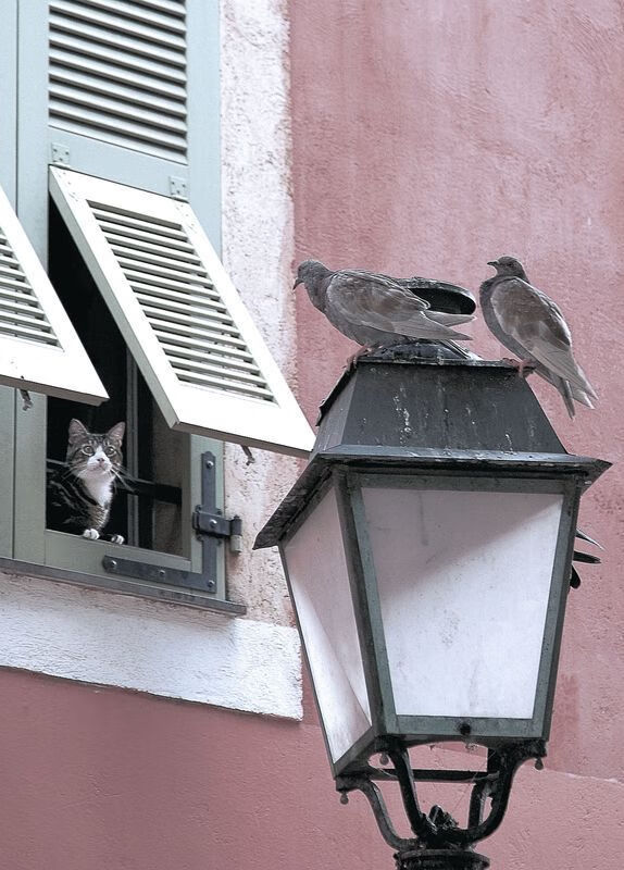 中国足球国家队教练员团队能力提升培训举行，中国足球国家队教练有哪些