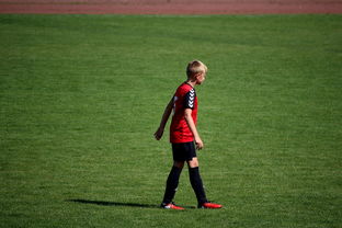 JIUYOU GAMING-中国足球职业俱乐部球员转会市场活跃度提升，中国足球协会球员身份与转会管理规定