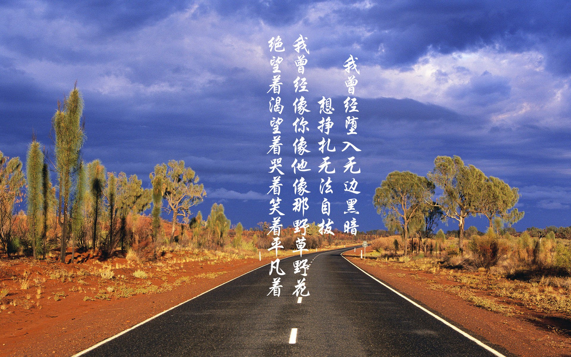 张伟丽遭遇冷门止步八强格斗冠军赛,张伟丽是谁格斗张伟丽简历介绍