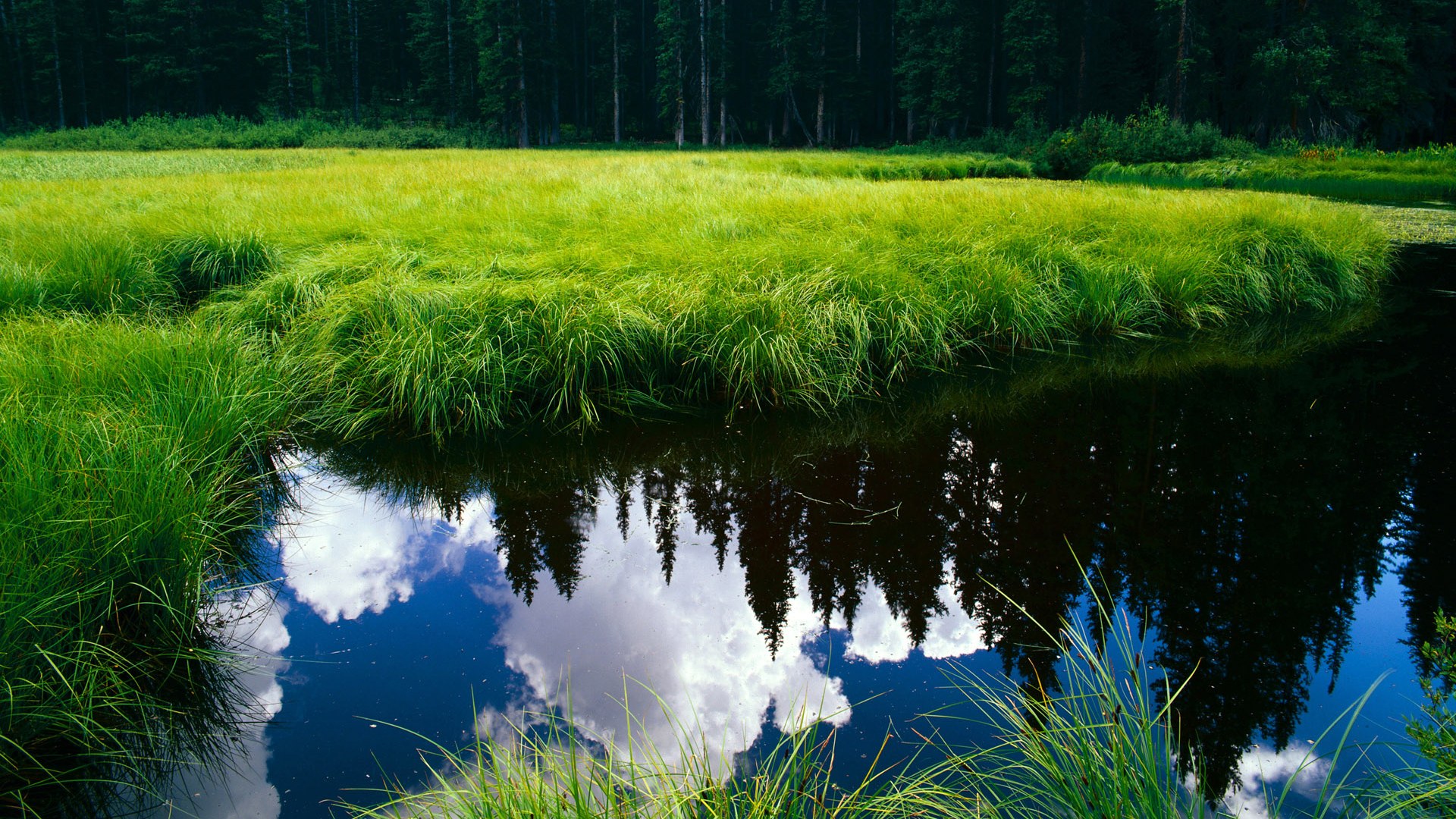 谷爱凌主场赢得胜利自由式滑雪赛场，自由滑雪选手谷爱凌